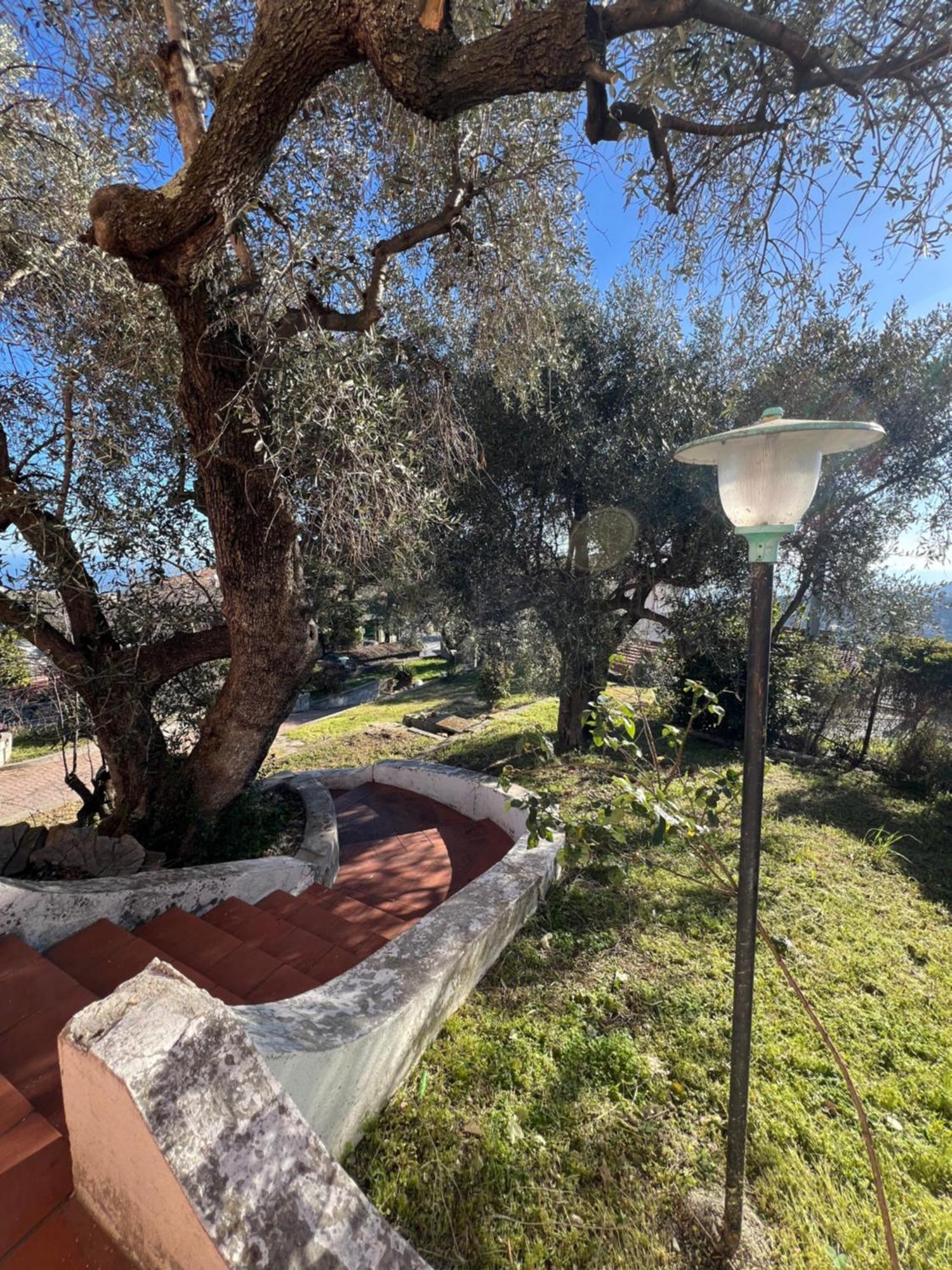 Villa In Collina Vista Mare سانريمو المظهر الخارجي الصورة