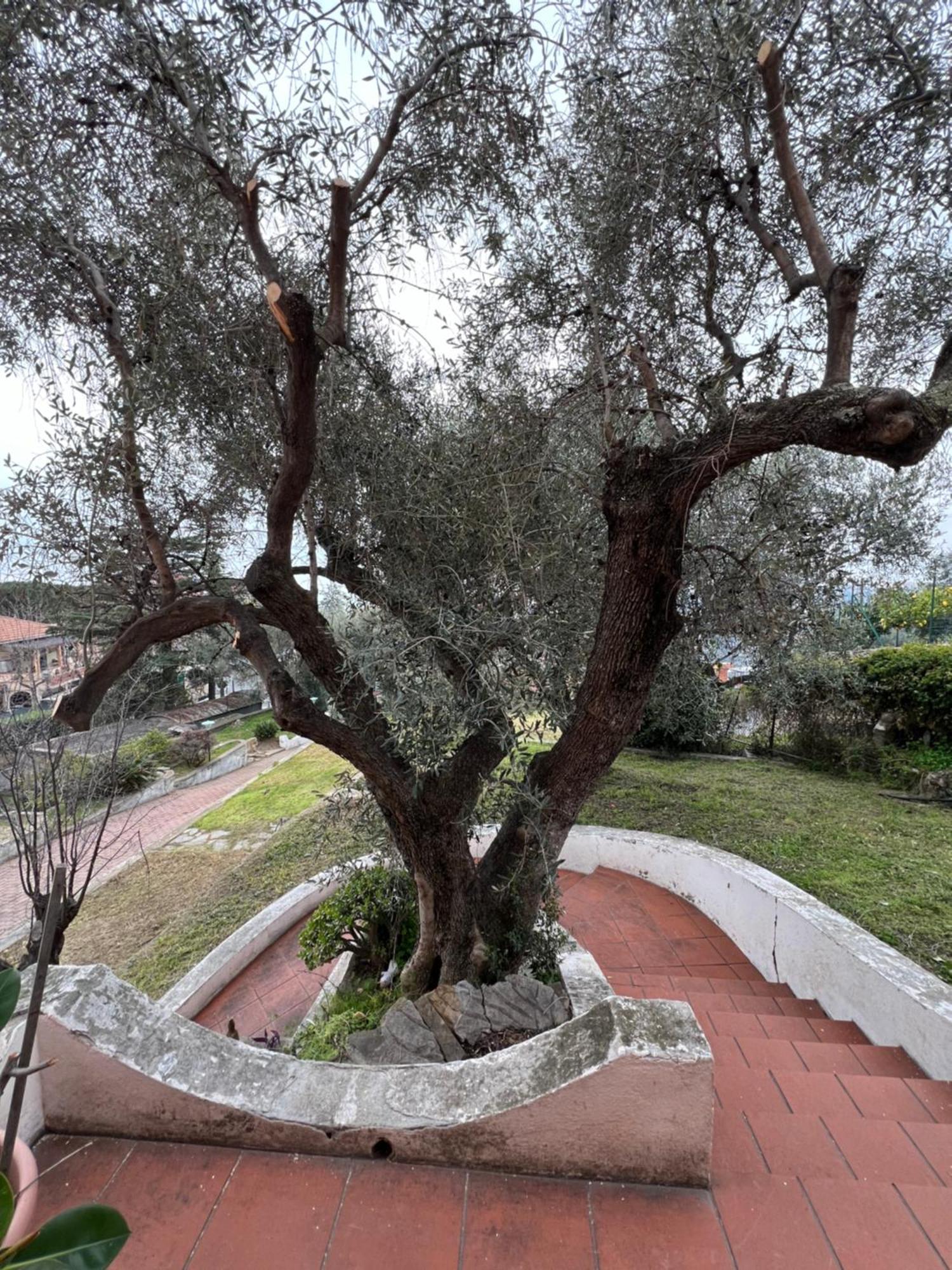Villa In Collina Vista Mare سانريمو المظهر الخارجي الصورة